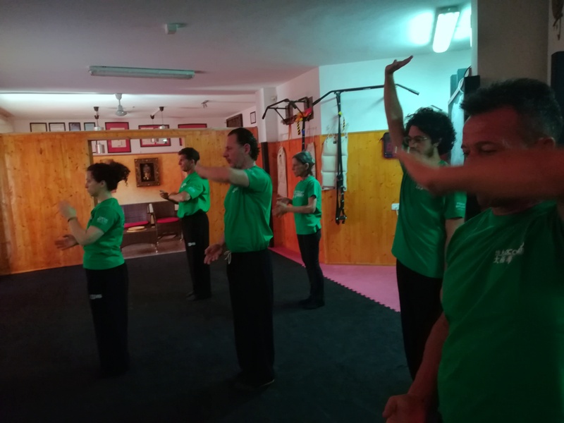 Kung Fu Academy di Sifu Mezzone scuola di wing chun e taijiquan, di wing tsun, difesa personale e arti marziali cinesi a Caserta e in Italia www.kungfuitalia.it (199)